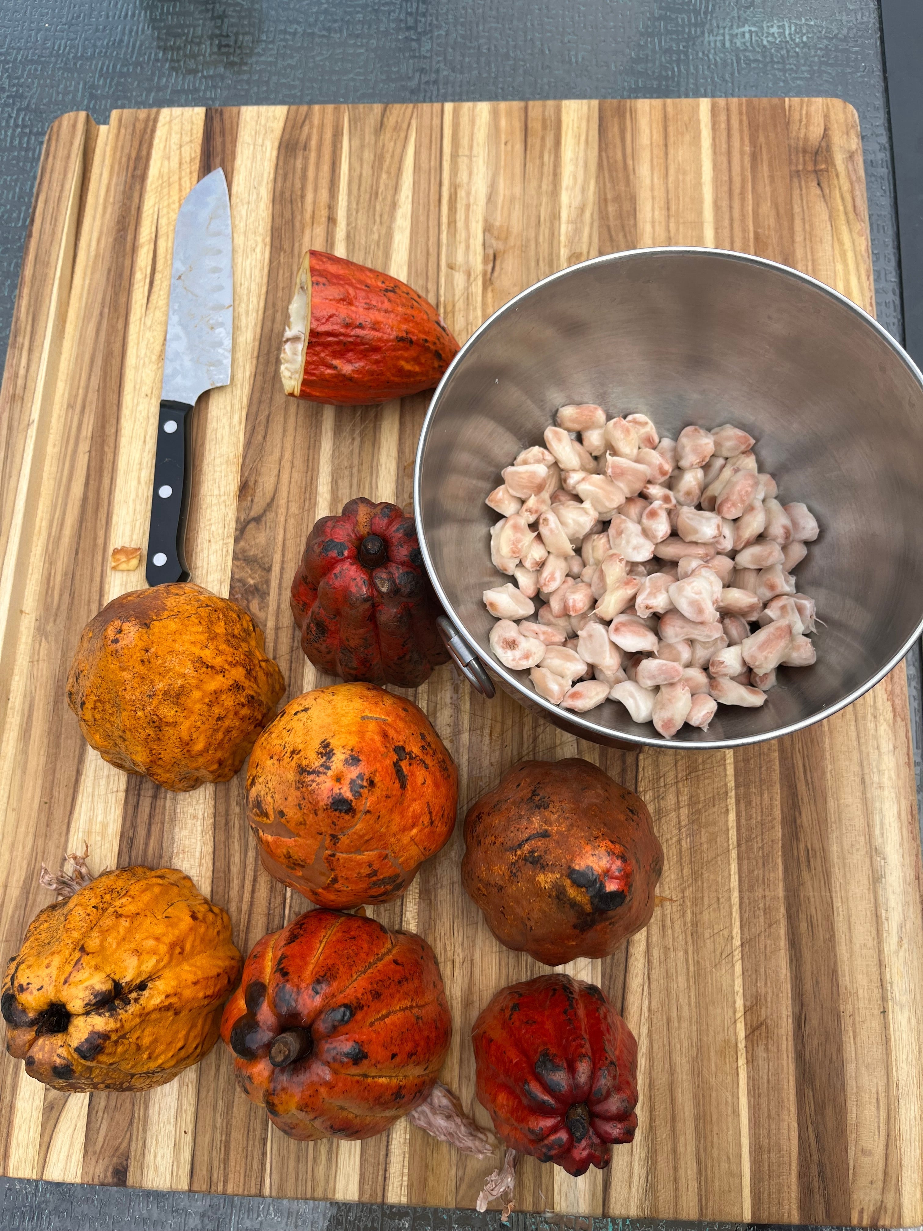 Nutrient Dense Chocolate Bar Recipe and How to Process Cacao Beans