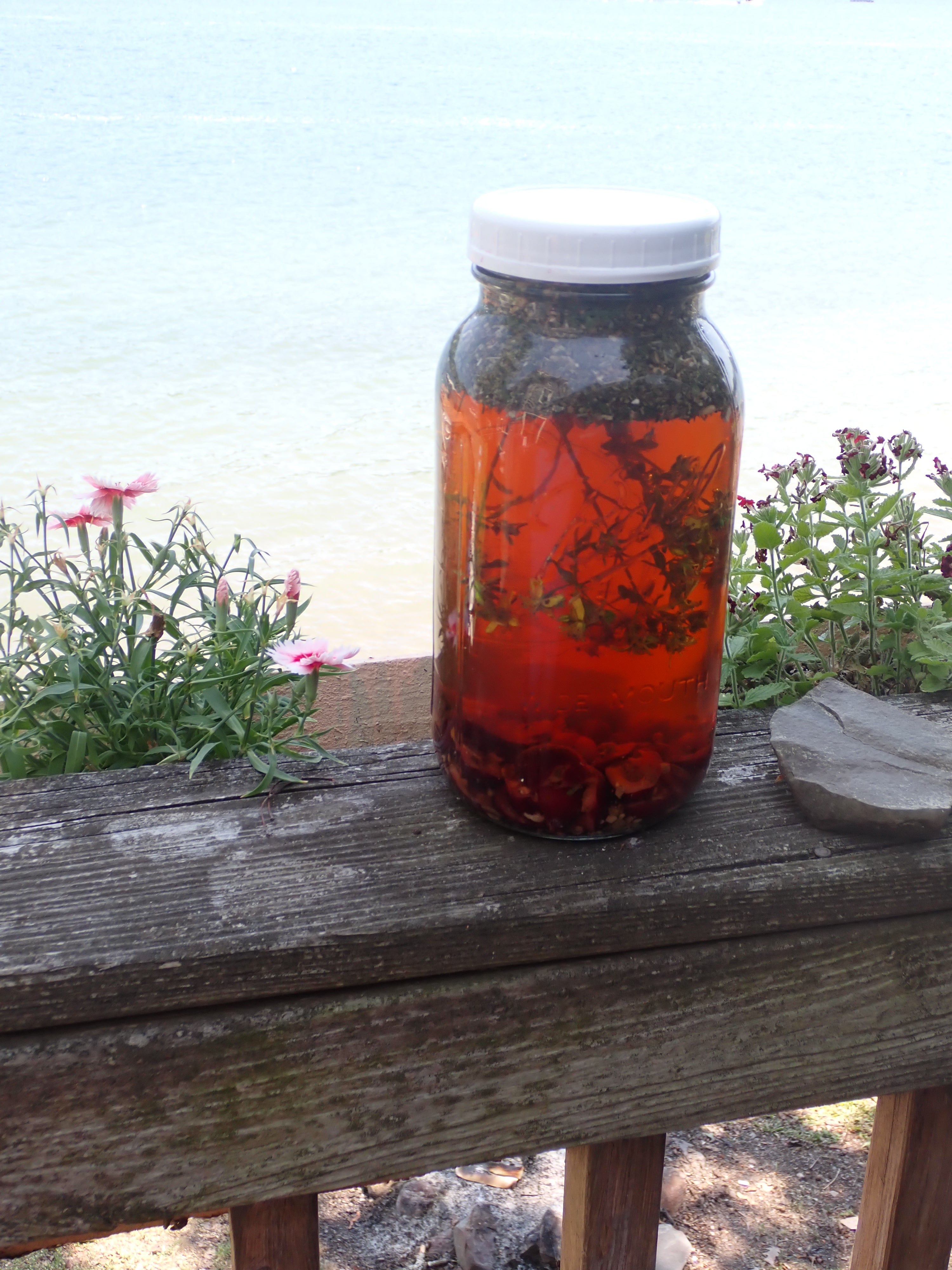 Herbal Remedies: Exploring the Healing Potential of Nature’s Gifts