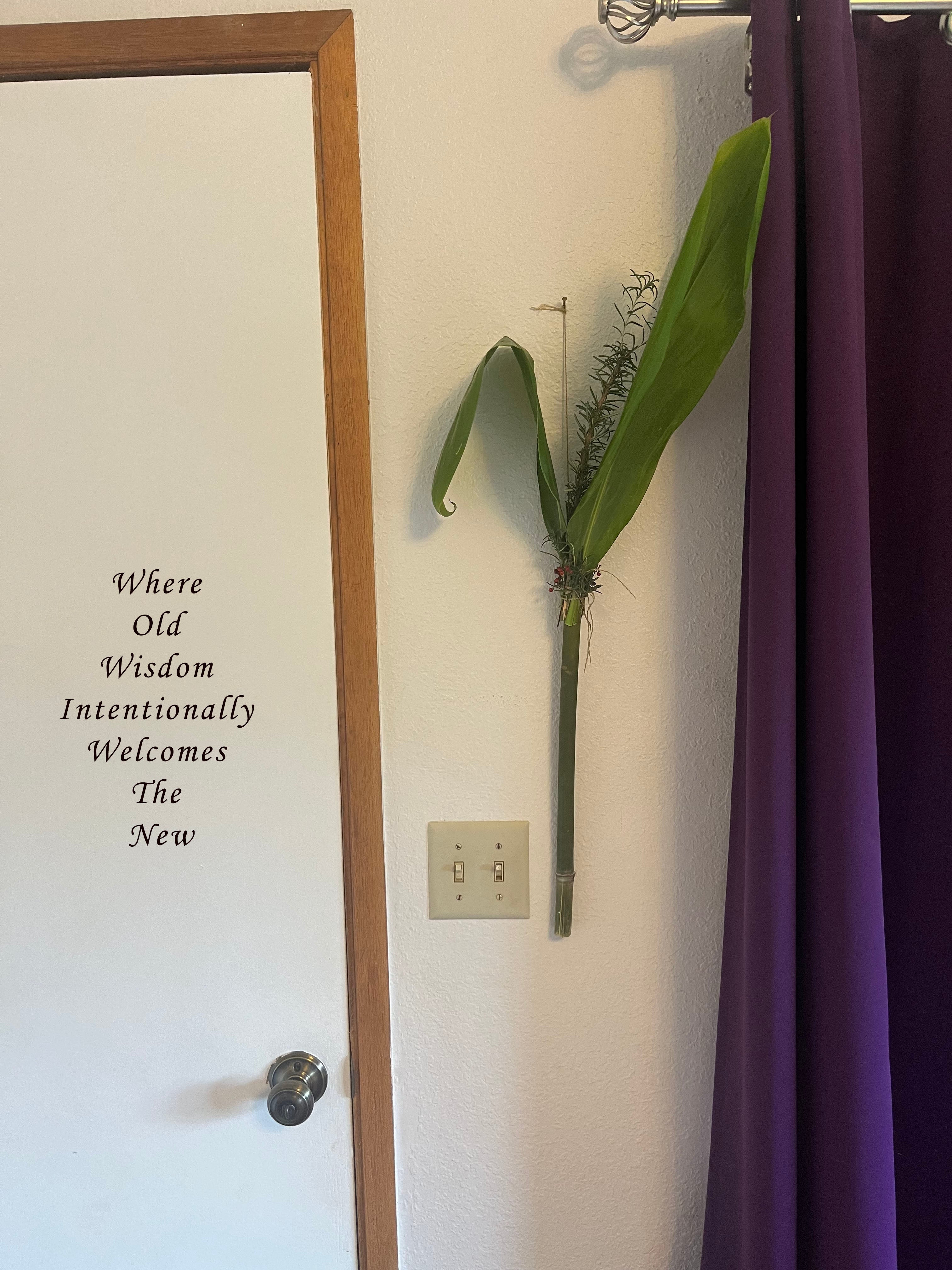 Working With Plants as Whole Beings | New Year Threshold Ritual