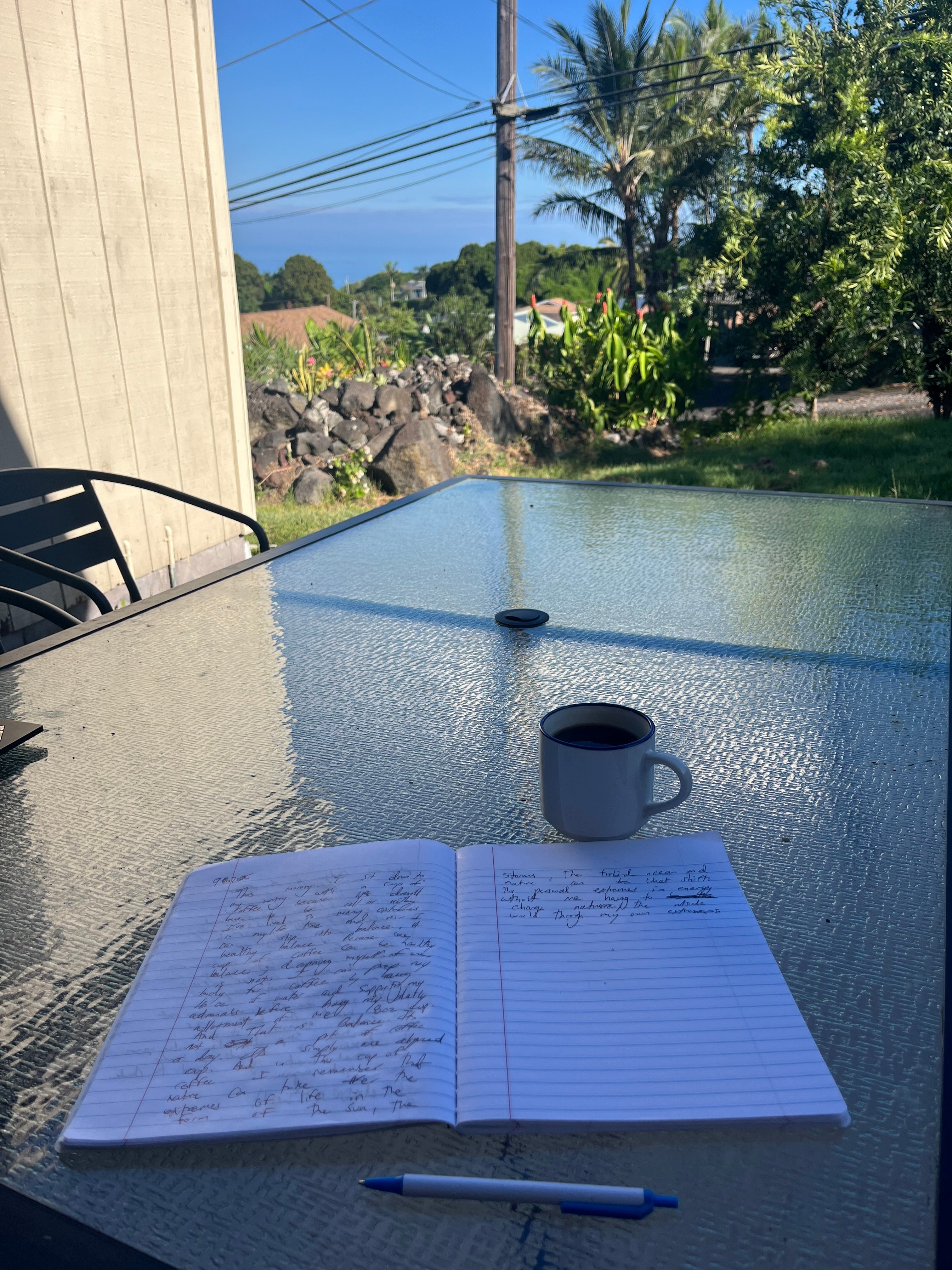 Lessons from Coffee: A Controversial Herb