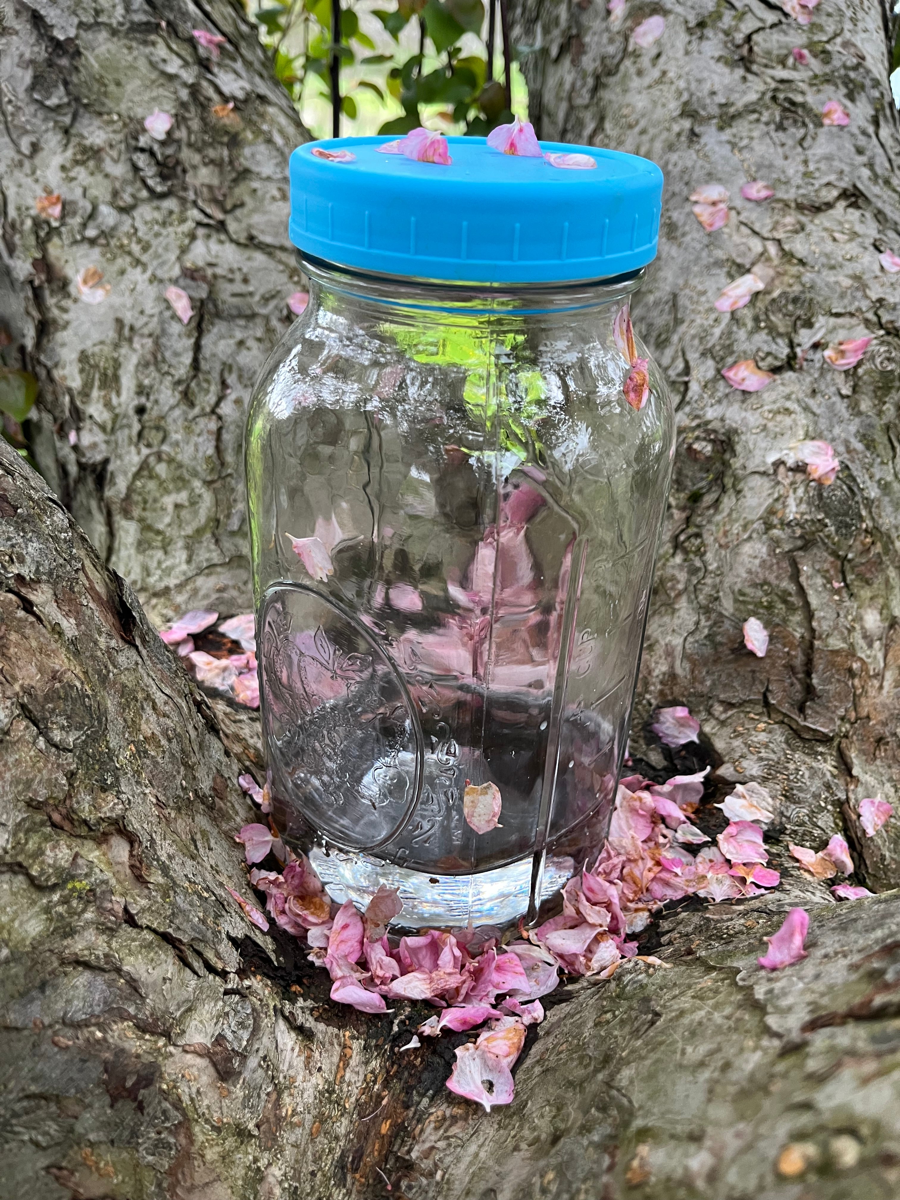 Crab Apple Flower Essence